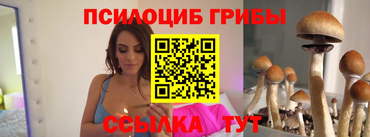 Псилоцибиновые грибы мухоморы Донецк